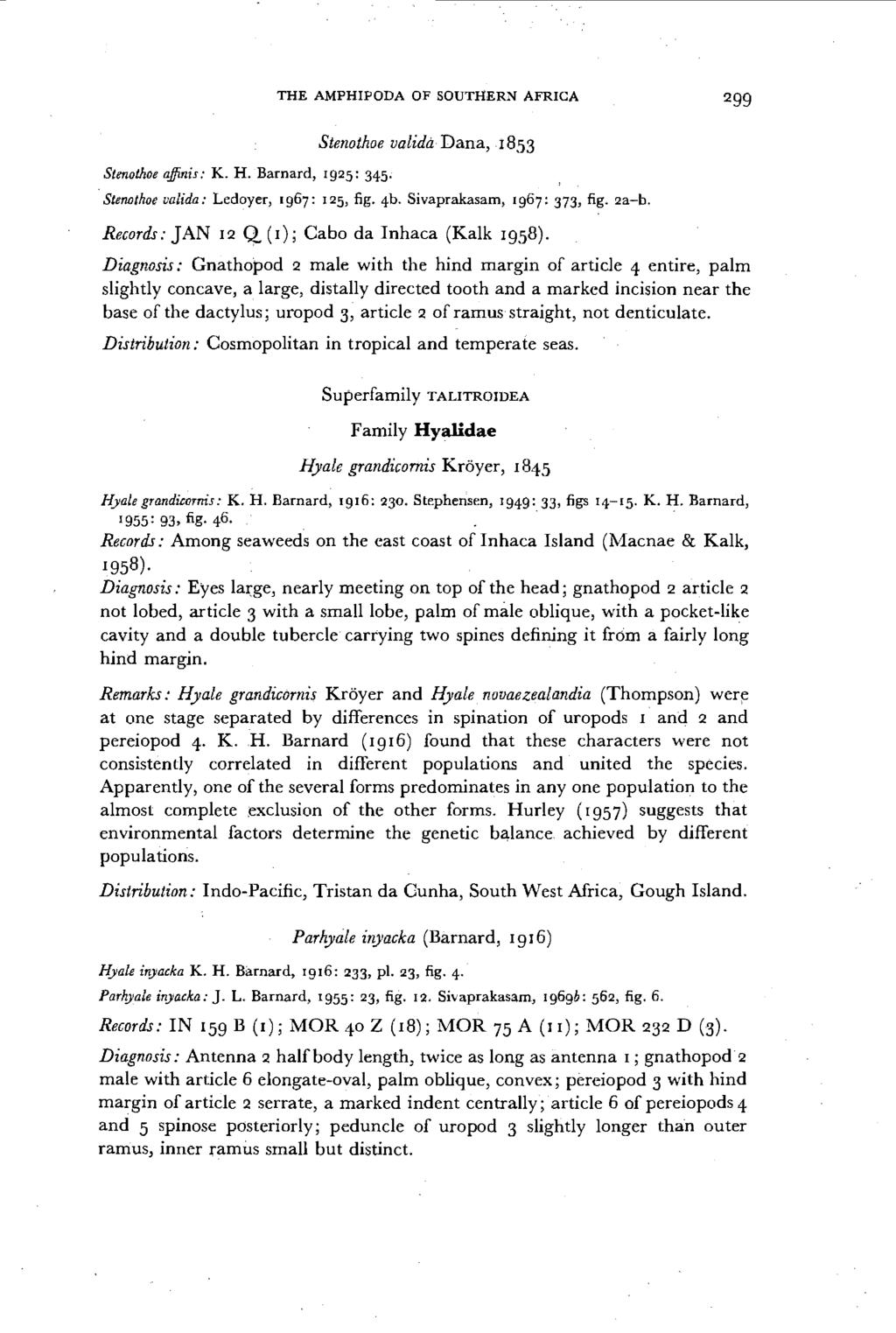 THE AMPHIPODA OF SOUTItERN AFRICA 299 Stenothoe alfinis: K. H. Barnard, 1925: 345; Stenothoe valida Dana, 1853. Steno/hoe valida: Ledoyer, 1967: 125, fig. 4b. Sivaprakasam, 1967: 373, fig. 2a-b.
