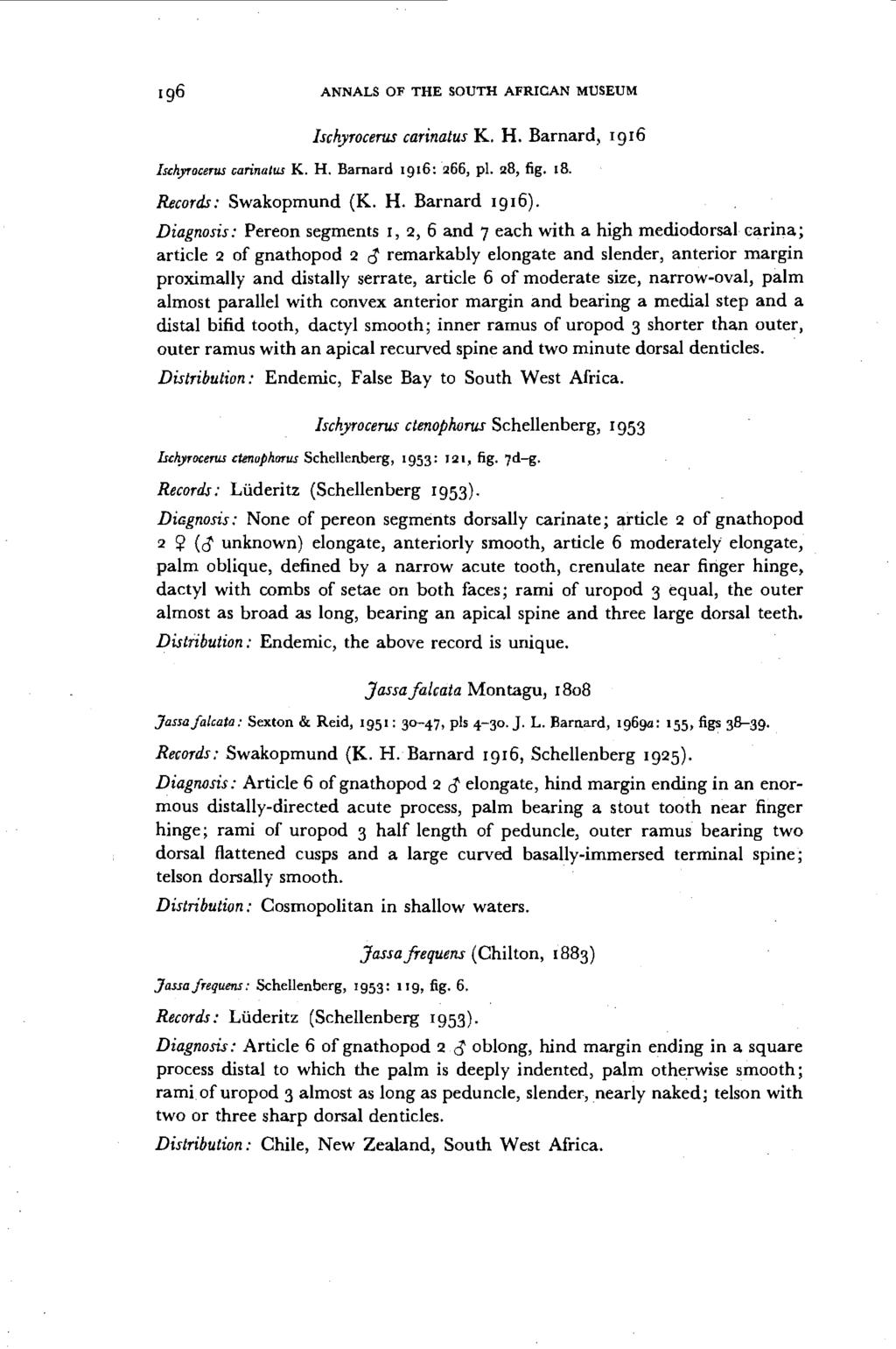 ANNALS OF THE SOUTH AFRICAN MUSEUM Ischyrocerus carinatus K. H. Barnard, 1916 Ischyrocerus carina/us K. H. Barnard 1916:266, pi. 28, fig. 18. Records: Swakopmund (K. H. Barnard 19 I 6). Diagnosis.