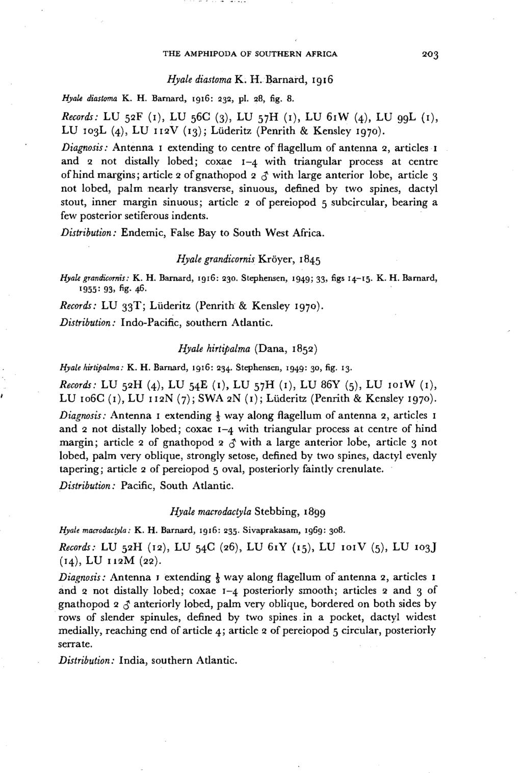 THE AMPHIPODA OF SOUTHERN AFRICA 20 3 Hyale diastoma K. H.Barnard, 1916 Hyak diastoma K. H. Barnard, 1916: 232, pi. 28, fig. 8.