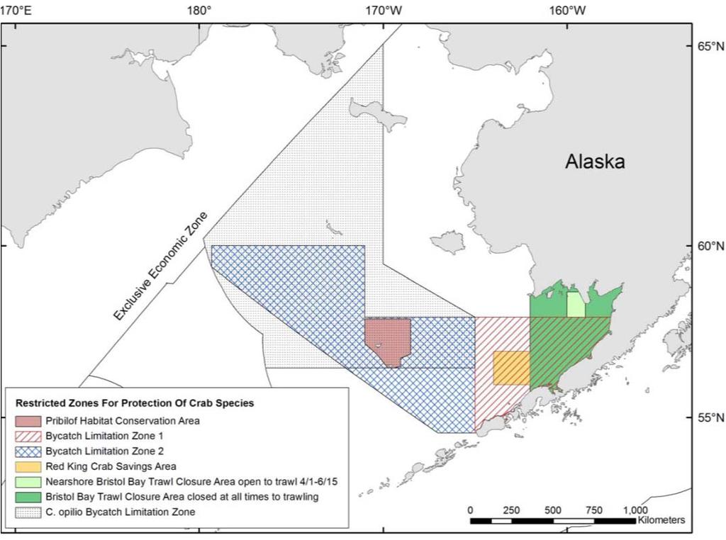 Habitat Impacts Relative to Spawning/Breeding There is only a small area of overlap between current female red king crab distribution and areas where trawling occurs.