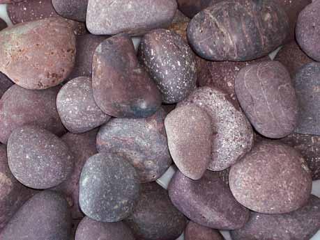 These attractive pebbles have a consistent plum coloring with subtle hints of rust or gray and are a popular choice for many