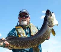 Fish of 30 to 45 inches are common, all in the 15 to 30 pound range.