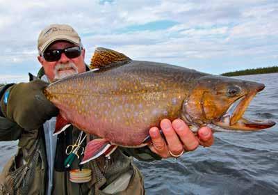 Using 4,5 and 6 weight rods coupled to floating lines and using dry flies and streamers, you can catch lots of