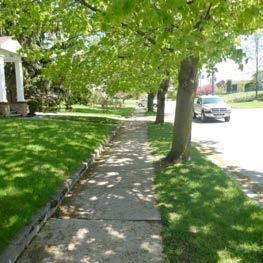 Even wider sidewalks should be installed in areas near schools, on commercial streets, or in other areas where there will be many Sidewalk too narrow for wheelchair.
