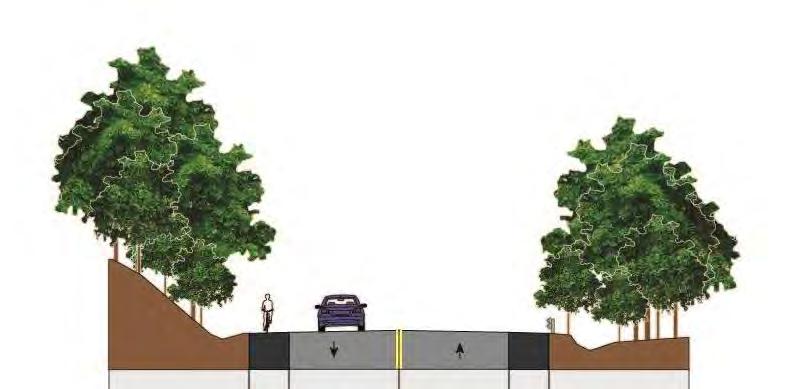 The road may be 2 to 4 lanes in width, and where appropriate, may feature medians for left turn movements or for enhanced trail/greenway crossings.