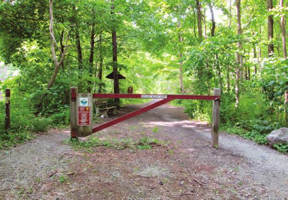 Where trails intersect with roadways, crossings must be well-designed and provide sufficient warning to drivers and trail users.