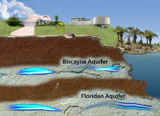 Aquifer The Biscayne Aquifer supplies 90% of the south