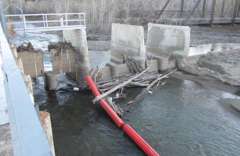 Mary Dam Diversion weir, sluiceway and abandoned bridge during low flow fall season (view is from upstream left bank) Figure 4. St.