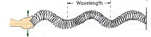 Transverse Wave Types of waves were the disturbance is perpendicular to the direction of the wave (like water waves and guitar strings).