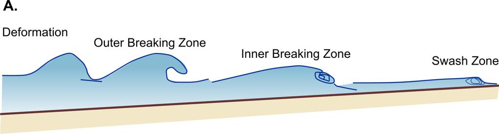 within the inner surf zone, results in a complex vertical profile of water motion that can be divided