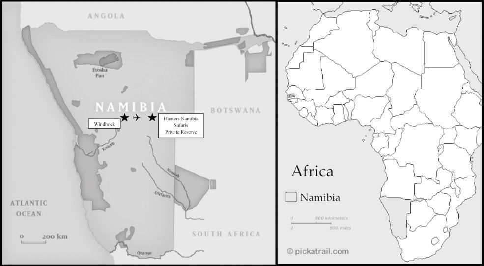 IMPORTANT GENERAL INFORMATION HOW TO GET TO NAMIBIA: Namibia s National Carrier, Air Namibia, has regular direct flights from Frankfurt to Windhoek International Airport, which is 45 minutes drive