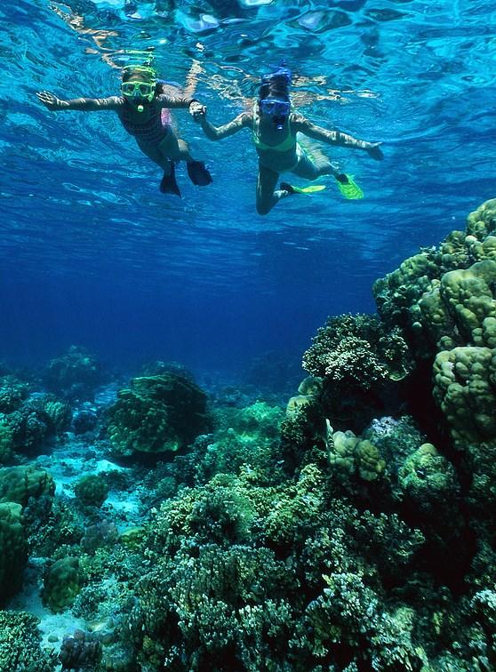 Lesson 5: MARINE ECOSYSTEMS - Coral Reef & Open Ocean of 6,000 to 11,000 meters, at the bottom of the Marianas Trench in the western Pacific.