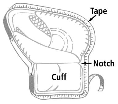 SECTION 3 EQUIPMENT The distance from the heel of the glove along the pocket and following the contour of the inside of the trap of the glove to the top of the T trap must not exceed eighteen (18)