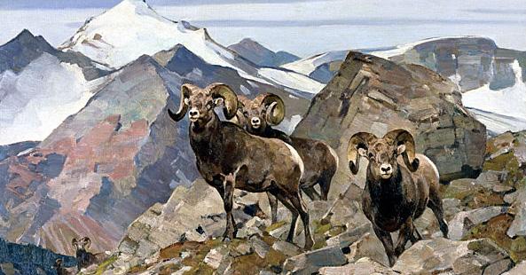 Carl Rungius: Rocky Mountain Sheep c.