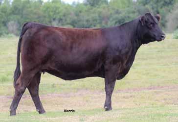 MAGS Winston Daughters - P.E. 1.28.14 to 8.15.14 to WLR Reload (B/HP) - This 62.