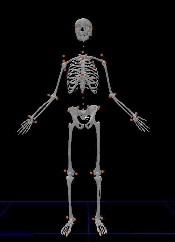 3.4 TESTING PROTOCOL Data collection commenced with the acquisition of a static trial; the subject stood in an anatomical position with their arms by their side and their wrists straight (Figure 3.