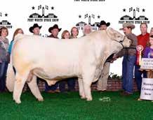 Herd Sire Prospects CML Encore 4Y CHOICE OF SILVER SPUR PEN BULLS Selling ½ interest and full possession in the buyer s choice of the Silver Spur Ranch National Western Pen of Bulls, all sons of CML