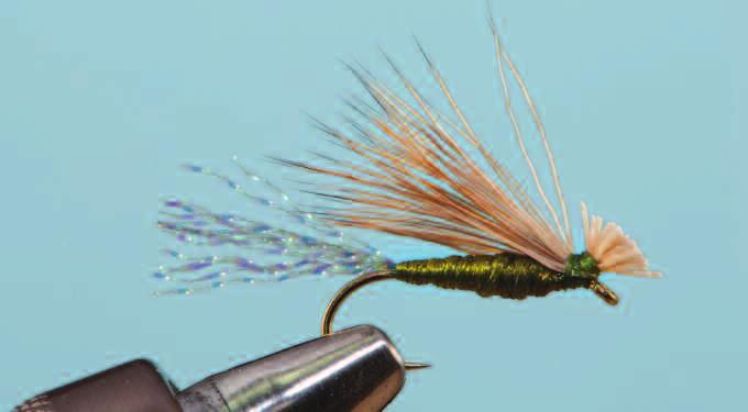 was dressed with sparkle wool for the tail and a pale cream, olive or gray body. The Sparkle Caddis Dressing Hook: Longshank dryfly hook, size 10 to 14. Thread: Black 8/0 (or similar).