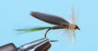 Dry Fly 