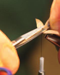 fibres to separate and re- align into a slightly squarer shape. This avoids skinny pointy wings that split apart easily. Whenever possible, tie in the wings before dressing the rest of the fly.