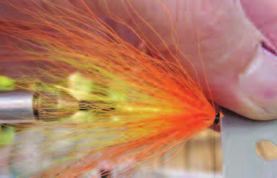Finally, attach a doubled hot orange or red soft hackle and wind it forwards in touching turns over a touch of superglue.