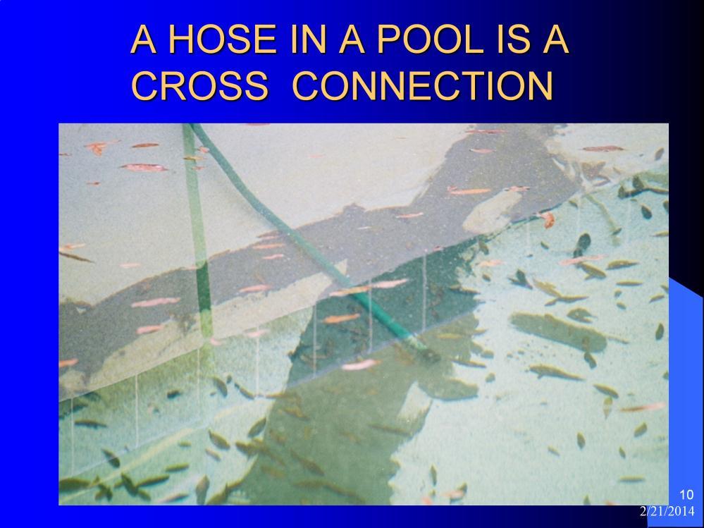 . A hose left in a pool is considered a cross connection because of the potential for the pool water to travel back up the hose, especially if there is no