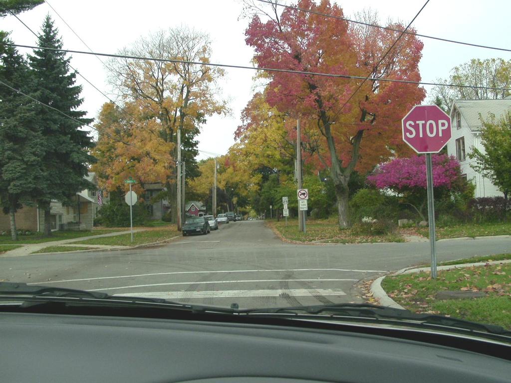 Is it necessary to stop completely at a stop sign?