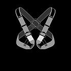 In a few situations it is recommended to complete the waist harness with the additional use of a chest harness.