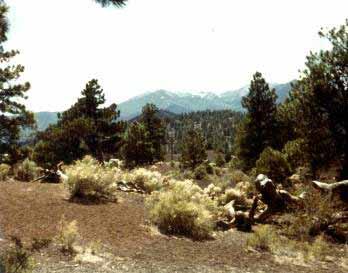 Sunset Crater,