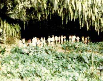 at Fern Grotto Kauai