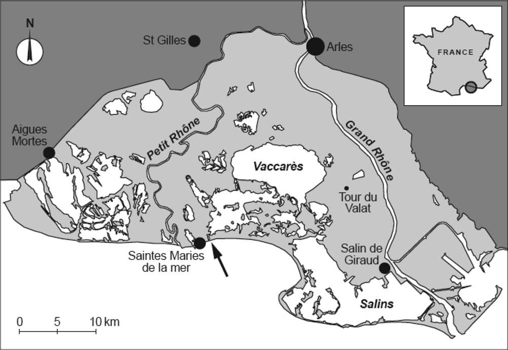 1484 D. Bevacqua et al. viewpoint (Loste and Dusserre, 1996). Its artisanal fisheries account for some 70% of total revenues of professional fishers (Lefebvre et al., 2003).