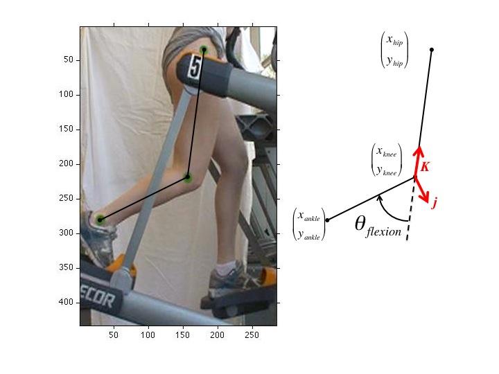 4.1 STRIDE CHARACTERISTICS Figure 10: On the left: an image of the AMT 2-DOF elliptical training with the upper and lower limb vectors superimposed.