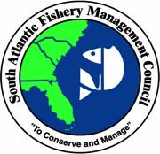 address specific action items in the 2016-2020 Vision Blueprint for the Snapper Grouper Fishery of the South Atlantic Region.
