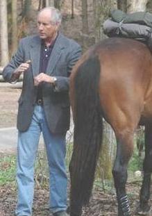 INTRODUCTION I have often been approached by members of the horse health professions: chiropractors, massage therapists and veterinarians, to explain how a saddle should correctly fit a horse.