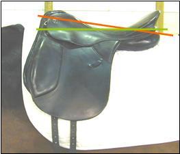 used on a horse with a different asymmetry, eventually it would reconfigure to that position it is meant to do that.