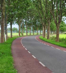 HOW IS COLOR USED IN AN ABL? Figure 16 ABL with contrasting color bike lanes The Dutch use color successfully in their ABLs.