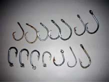 SPC ACTIVITIES Fourteen different hook types and sizes were found among F/V Gold Country s gear. hooks (16/0 SS offset circle hooks without ring).