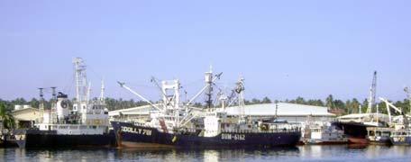 INTRODUCTION PURSE-SEINE FISHING AROUND MOORED FADs IN PAPUA NEW GUINEA In Papua New Guinea (PNG), the domestically based purseseine fleet mainly focuses on moored fish aggregating devices (FADs) and