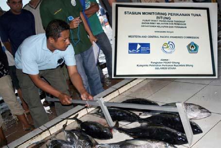 INDONESIAN TUNA FISHERIES: GETTING TO KNOW OUR NEIGHBOURS as a member country of each RFMO. IOTC, with assistance from several member country age