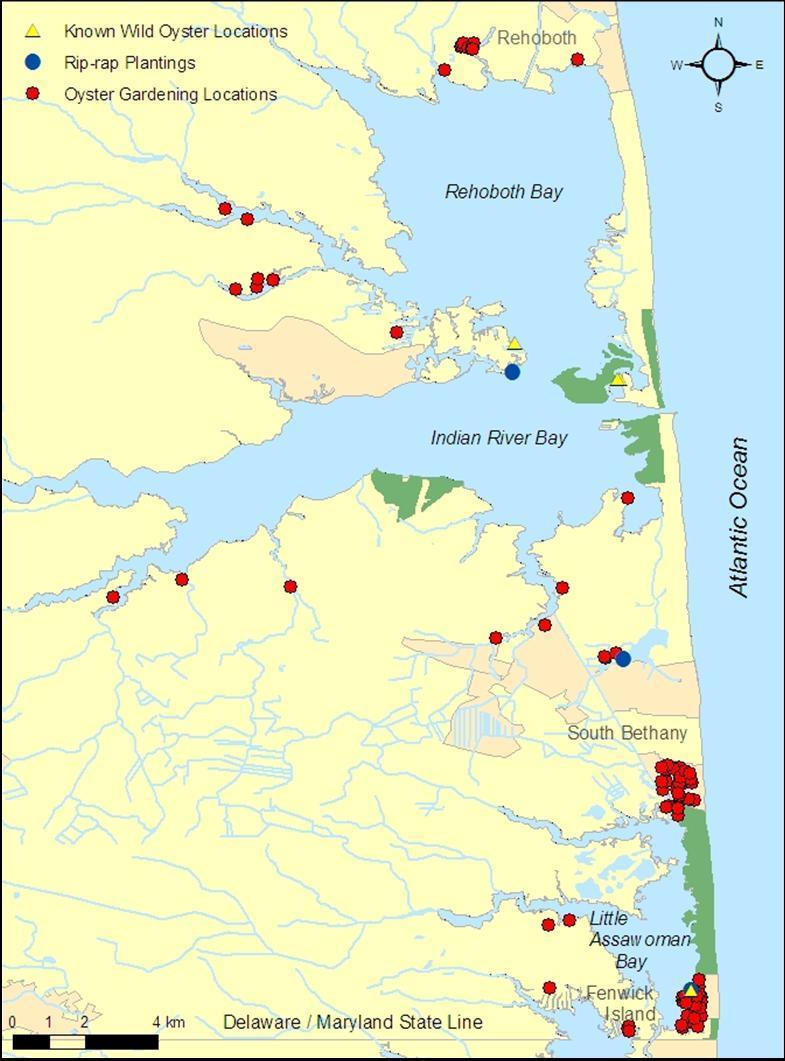 P a g e 18 E. CASE STUDIES Overview All three case studies were conducted within the three Delaware Inland Bays: Rehoboth, Indian River, and Little Assawoman (Figure 7).