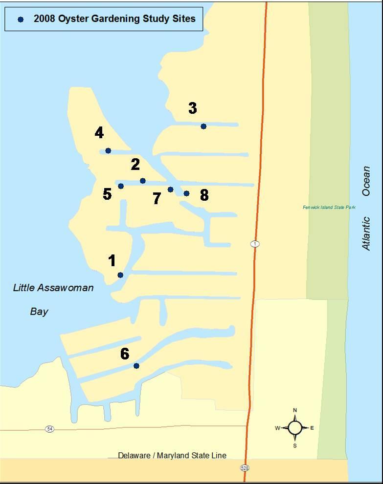 P a g e 27 Figure 13. Study sites in Fenwick Island canal system in Little Assawoman Bay. Numbers label study dock locations (Map courtesy of Marenghi).