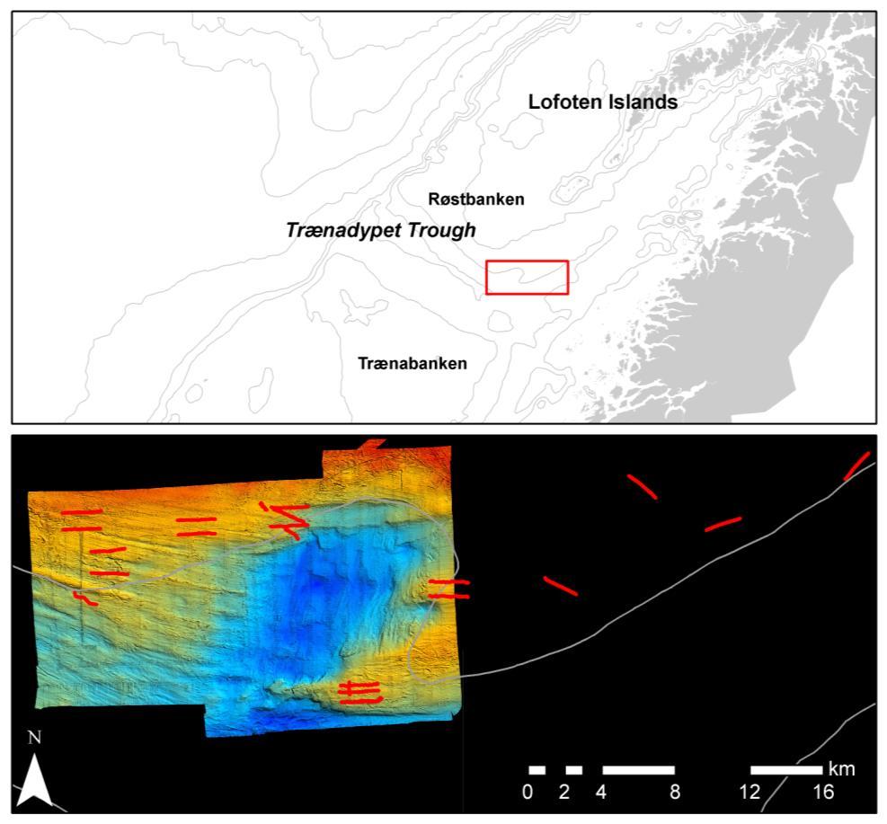 Echogram of a transect across the Røst Reef
