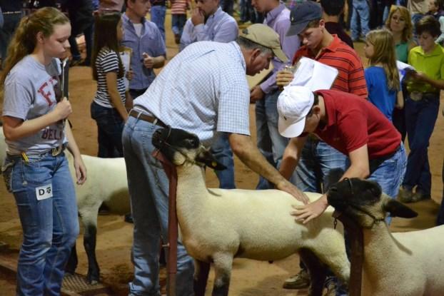 Around the State Page 8 Aggiefest Livestock Judging Contest November 5, 2016 This contest is hosted by the Texas A&M University livestock judging team and is open to all Texas 4-H and FFA members.