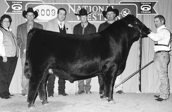 ANGUS the Jilł Family Selling Orion's dam. 5162 has been a very successful donor cow for OSU and A-Cross Ranch.