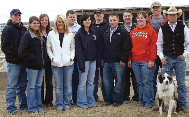 Purebred beef cattle are bred and raised at OSU to furnish students with examples of high performing, modern type cattle which are used extensively in numerous courses taught in the Department of