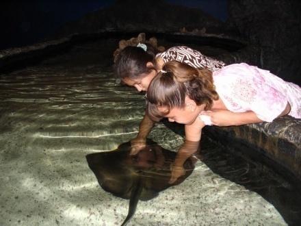 Why Have an Aquarium in a Desert? After all, where else in the world is water so valued and respected? It s a precious resource that defines how we live in Utah.