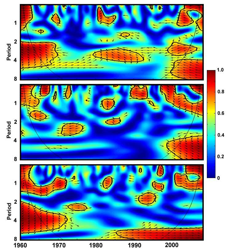 Cross-wavelet coherence between Dipole Mode Index (DMI) and tuna species CPUE in the Indian Ocean (1960-2009) YFT - DMI It showed a long-term negative significant coherence between the YFT CPUE and