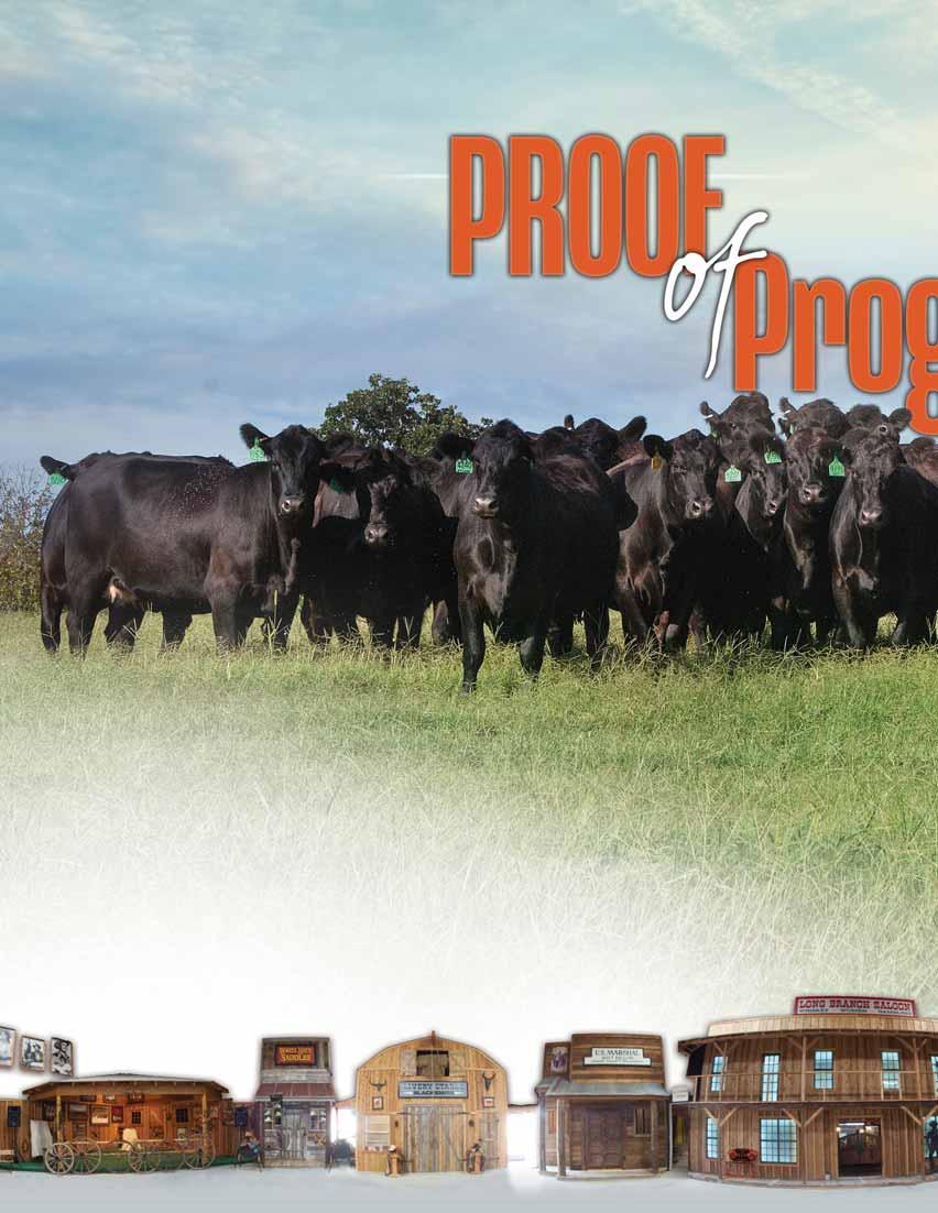 P BAR S Selling 96 Lots 5 Purebred & Lim-Flex Show Hefier & Donor Prospects 1 Choice Embryo Heifer Calves 7 Red Angus Open Heifers 25 Spring Bred