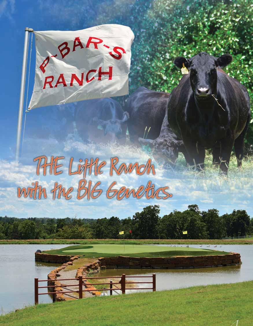 THE Little Ranch with
