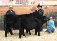 INTEGRITY EGL R071 ET 16-1.6 63 103 12 44 11 8-0.31 29 0.33 0.56 83.94 offered by: EAGLE PASS RANCH, SD Selling Embryo Flush Due to calve in May.